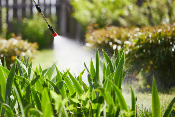 24/7 Emergency Cockroach Control experts in Ashland, OR
