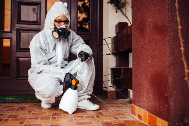 Reliable Cockroach Control contractor in Ashland, OR by Nex Pest Control